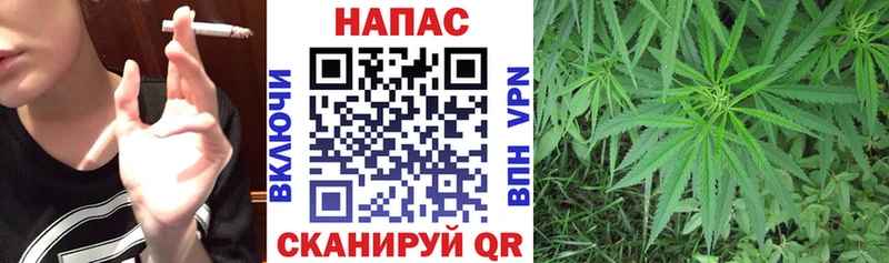 Купить Шенкурск Alpha PVP  NBOMe  КОКАИН  Меф мяу мяу  АМФ 