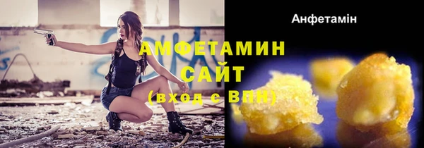 сатива Тайга