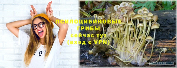 индика Тавда